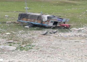 Driver Killed In Drass Road Accident