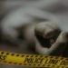 Female teacher from Samba shot dead in Kulgam