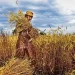 Global Shortages Demand Global Solutions