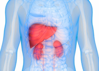 Scientists identify new liver and kidney disease
