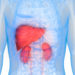 Scientists identify new liver and kidney disease