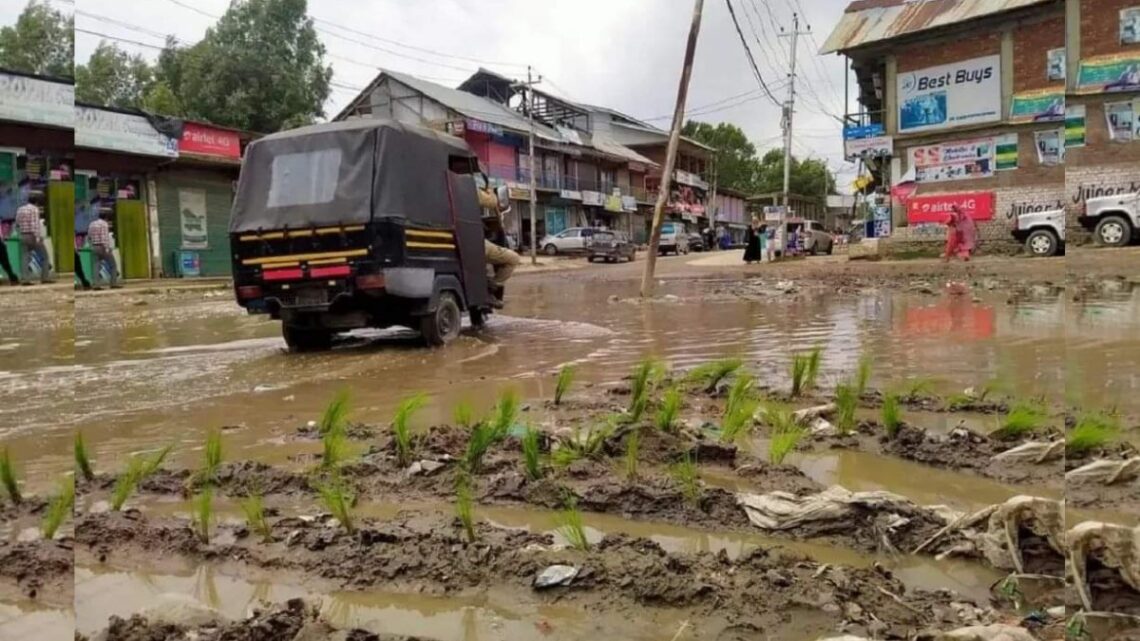 As a mark of protest, locals plant paddy saplings in potholes in Kupwara