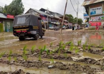 As a mark of protest, locals plant paddy saplings in potholes in Kupwara