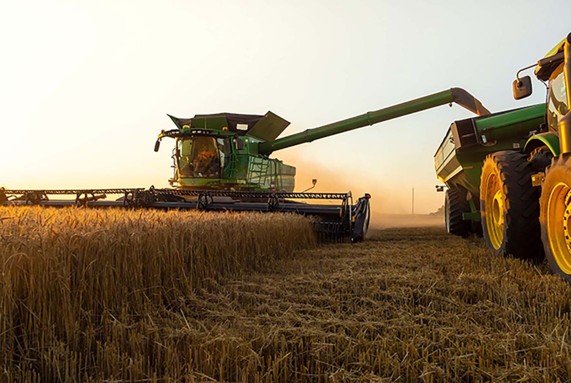 Turkey rejects Indian wheat consignment