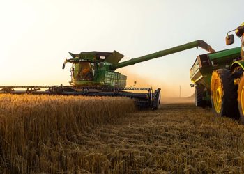Turkey rejects Indian wheat consignment