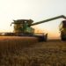 Turkey rejects Indian wheat consignment