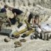 US and Germany agree to supply advanced weapons to Ukraine