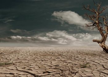 Inadequate progress on climate action, finds UN report