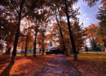Autumn: 8 Must Visit Places In Kashmir