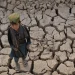Critics lament exclusion of Afghanistan from COP27