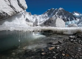 Third Of World Heritage Glaciers Under Threat, Warns UNESCO Study