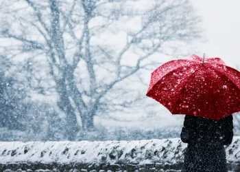 DAK warns Kashmir of possible triple virus threat this winter