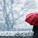 DAK warns Kashmir of possible triple virus threat this winter