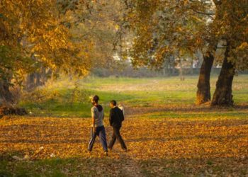 Morning exercise lowers risk of heart disease and stroke: Study