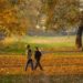 Morning exercise lowers risk of heart disease and stroke: Study