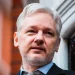 Leading media outlets urge US to end prosecution of WikiLeaks founder Julian Assange