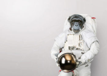 China to send monkeys to space to study reproduction in zero-gravity: Report