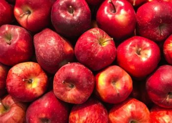 Immunity Boosters: Winter Foods You Must Add To Your Diet