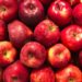 Immunity Boosters: Winter Foods You Must Add To Your Diet