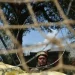 India Revamps Defence Infra With Fortification Of BSF Bunkers At J&K Border