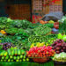 Steep Rise In Prices Of Essential Commodities Burning A Hole In Common Man’s Pocket