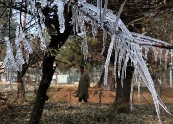 Chillai-Kalan: Temp Plummets Further, Srinagar Shivers At Minus 5.5°C