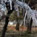 Chillai-Kalan: Temp Plummets Further, Srinagar Shivers At Minus 5.5°C