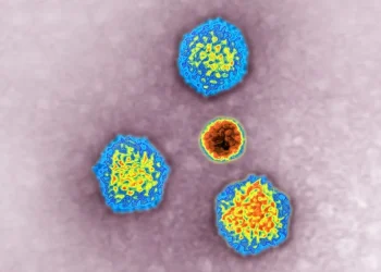 Minor Girl Dies, Several Infected In Suspected Hepatitis Outbreak In Kulgam