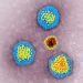 Minor Girl Dies, Several Infected In Suspected Hepatitis Outbreak In Kulgam