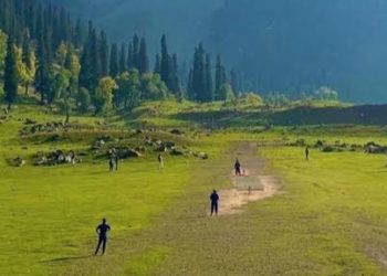 Four Cricketers Spent 8 Lakh To Construct Turf Wicket In Bijbehara’s Marhama