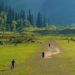 Four Cricketers Spent 8 Lakh To Construct Turf Wicket In Bijbehara’s Marhama