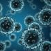 Kashmir Sees Spurt In Influenza Cases This Season Than Previous 2 Years