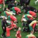 ‘We are the champions’: Morocco fans proud despite World Cup loss
