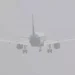 Dense Fog In North India Causes Massive Flight Disruptions