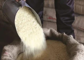 Govt To Provide Free Ration To Poor People For One Year Under Food Law