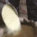 Govt To Provide Free Ration To Poor People For One Year Under Food Law