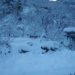 North Kashmir’s Kupwara Receives Highest Snowfall In Valley