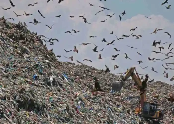 J&K Govt Forms Panel On Waste Management