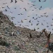 J&K Govt Forms Panel On Waste Management