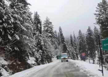 Snowfall In Upper Reaches, Light Rains Lash Plains In Kashmir