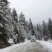 Snowfall In Upper Reaches, Light Rains Lash Plains In Kashmir