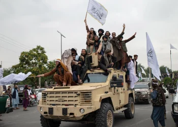 Taliban Bans Female NGO Staff, Aid Agencies Halt Afghan Work