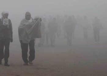 Delhi Experienced Third Worst Cold Spell In 23 Years: IMD