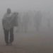 Delhi Experienced Third Worst Cold Spell In 23 Years: IMD