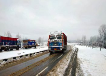 Snowfall: Air Traffic Resumes, Highway Reopens In Kashmir
