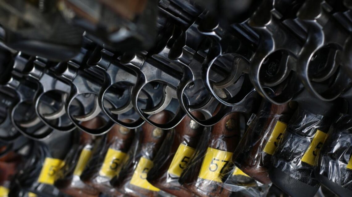 Govt Revokes Ban On Issuance Of Individual Arms Licenses