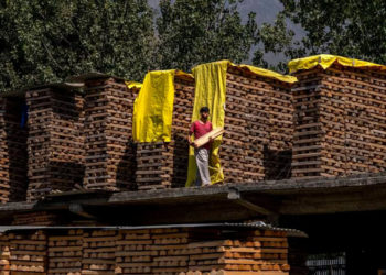 Kashmir’s Cricket Bat Industry Stares Into Oblivion Amid A Growing Willow Cleft Shortage