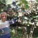 Kashmir’s First Kiwi Grower Is No More