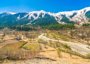 J&K Govt Assents To Amend Certain Provisions Of Land Reforms Act