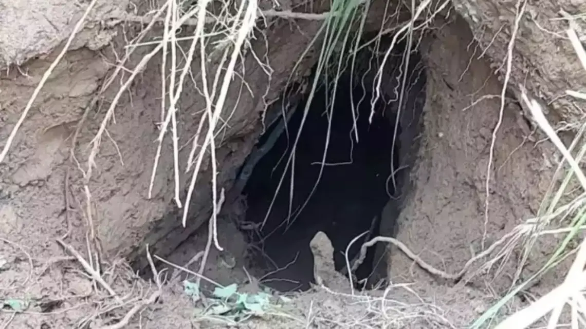 BSF Deploys Drone-Mounted Radars To Check For Under-Ground Tunnels Along Border With Pakistan